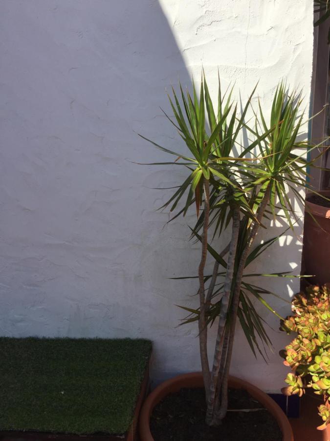 Vila Fidalgo Apartment Nazare Exterior photo